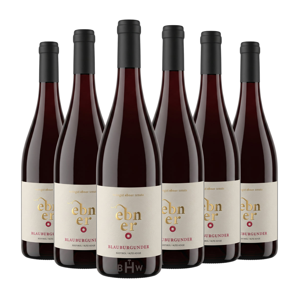 2022 Weingut Ebner Blauburgunder Pinot Nero Alto Adige DOC 6-pack red wine bottles, curated by Big Hammer Wines.