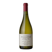 Image of 2022 Zuccardi Poligonos Tupungato Sauvignon Blanc Uco Valley