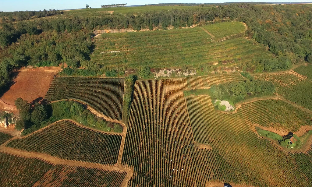 2022 Domaine du Clos des Poulettes Nuits Saint Georges Premier Cru Les Vaucrains