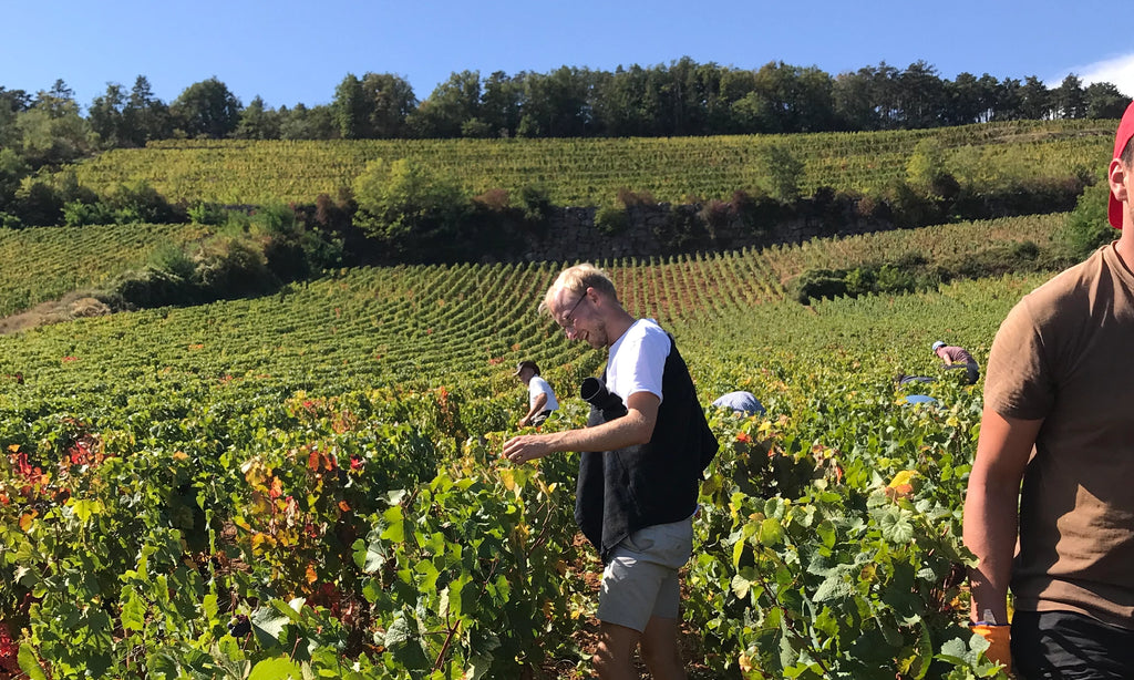 2022 Domaine du Clos des Poulettes Nuits Saint Georges Premier Cru Les Vaucrains