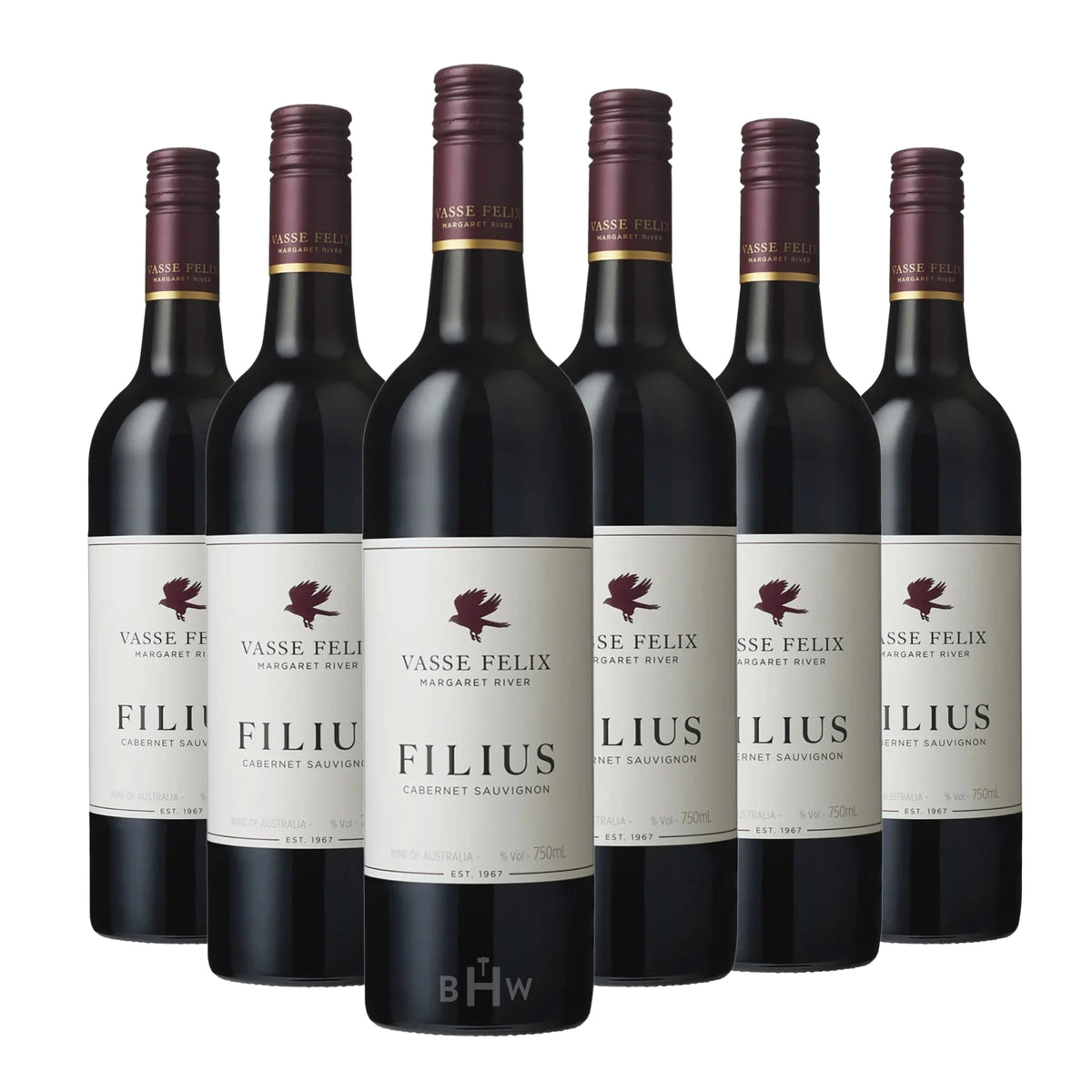Six bottles of 2023 Vasse Felix 'Filius' Margaret River Cabernet Sauvignon red wine. Curated by Big Hammer Wines.