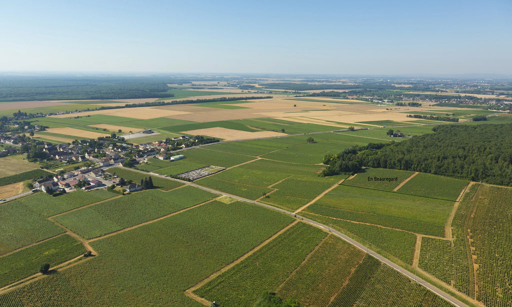 2023 Domaine du Clos des Poulettes Cotes de Nuits Villages Blanc En Beauregard