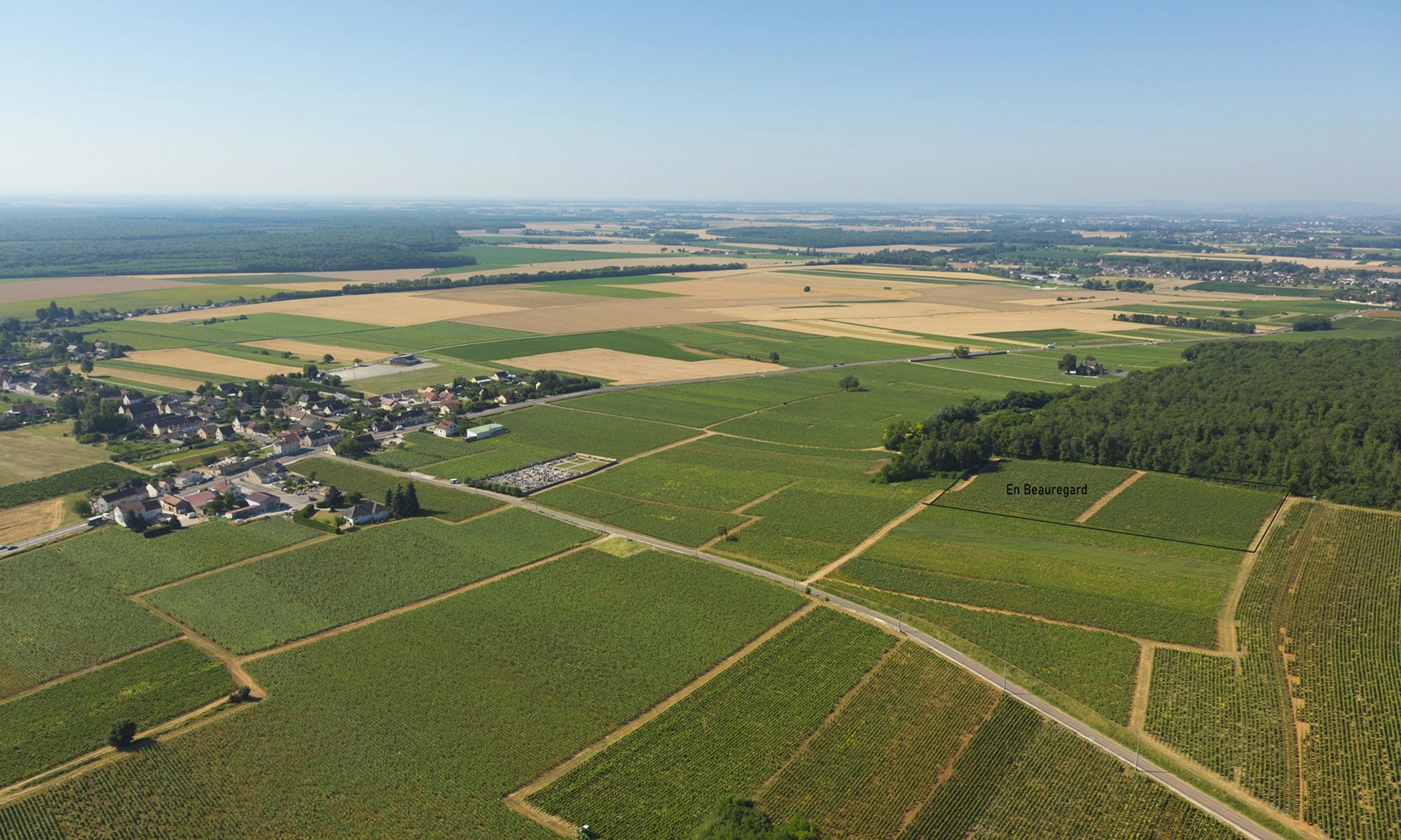 2023 Domaine du Clos des Poulettes Cotes de Nuits Villages Blanc En Beauregard