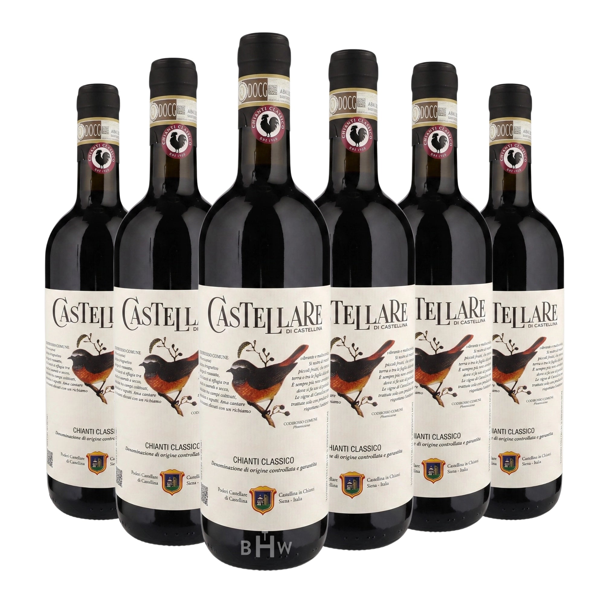 A 6-bottle pack of 2024 Castellare Chianti Classico Tuscany red wine, curated by Big Hammer Wines.