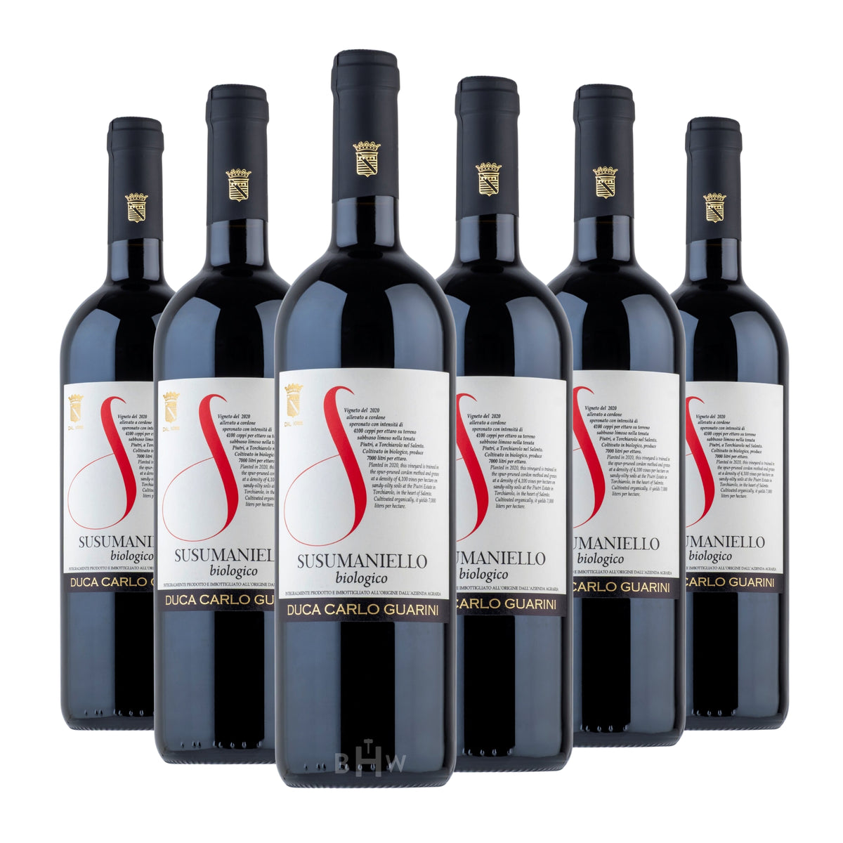 2024 Duca Carlo Guarini Susumaniello Salento IGT Puglia 6-pack red wine bottles, curated by Big Hammer Wines.
