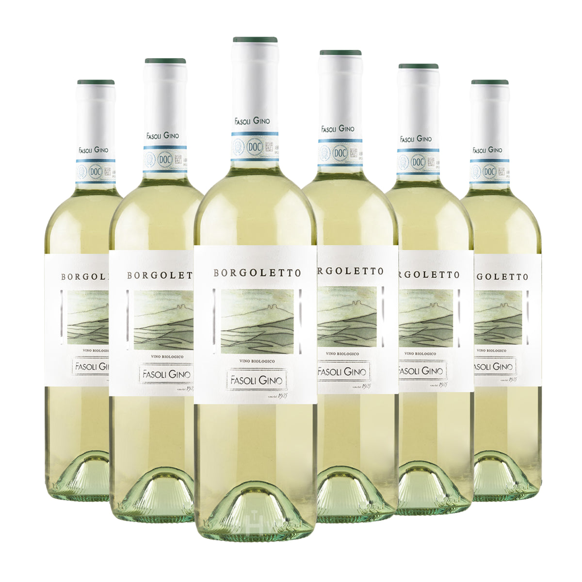 2024 Fasoli Gino 'Borgoletto' Soave DOC Veneto 6-pack white wine bottles, curated by Big Hammer Wines.