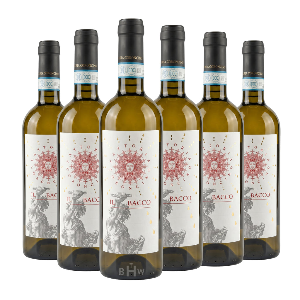 2024 Fattoria Coroncino 'Il Bacco' Verdicchio dei Castelli di Jesi Classico Superiore DOC Marche 6-pack white wine bottles, curated by Big Hammer Wines.