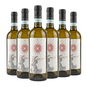 Image of 2024 Fattoria Coroncino Il Bacco Verdicchio dei Castelli di Jesi Classico Superiore DOC Marche 6pk 6x750ml