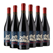 Image of 2024 Vino Lauria Zio Paolo Nero d'Avola Sicilia DOC Sicily 6pk 6x750ml