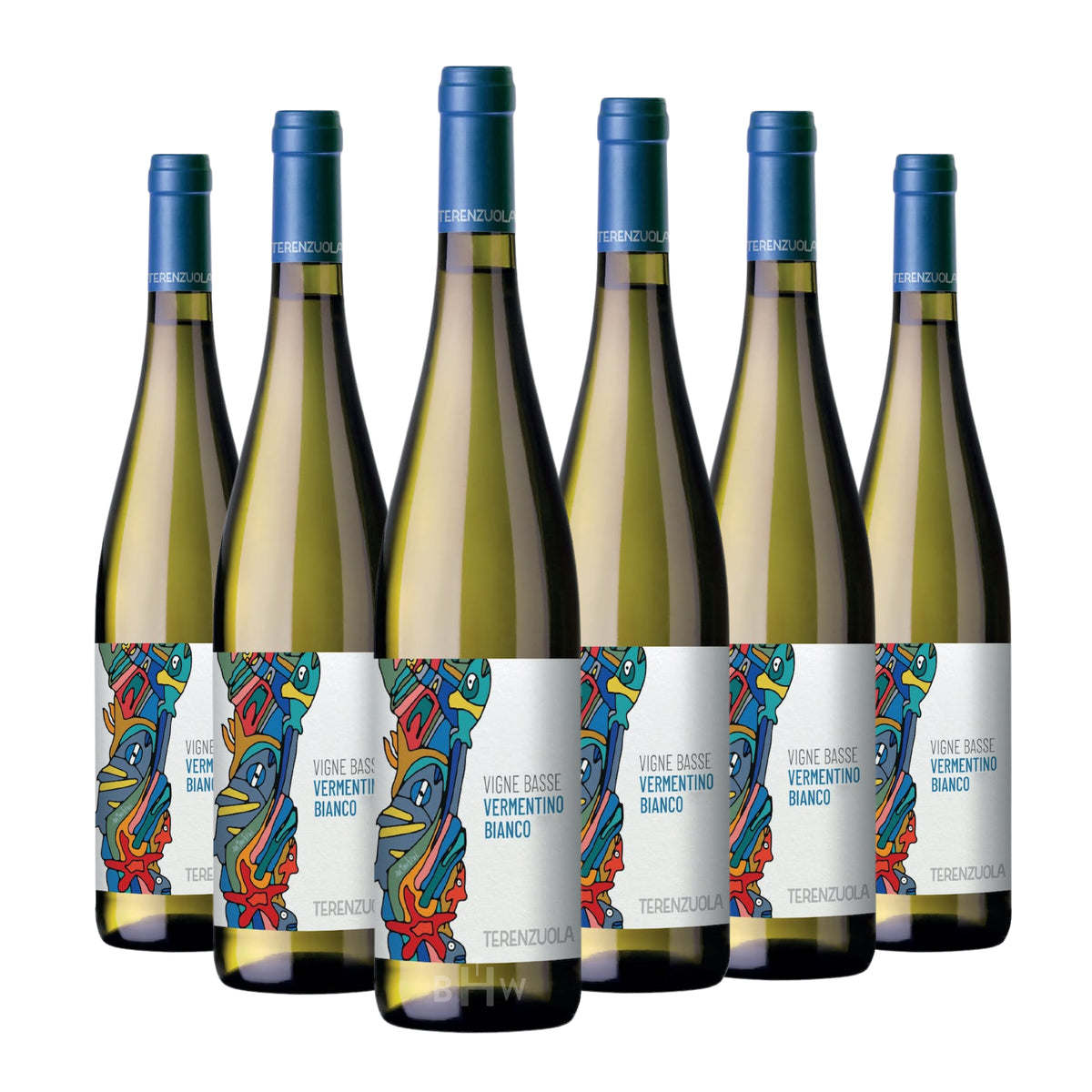 2025 Terenzuola 'Vigne Basse' Vermentino Toscana IGT Tuscany 6-pack white wine bottles, curated by Big Hammer Wines.