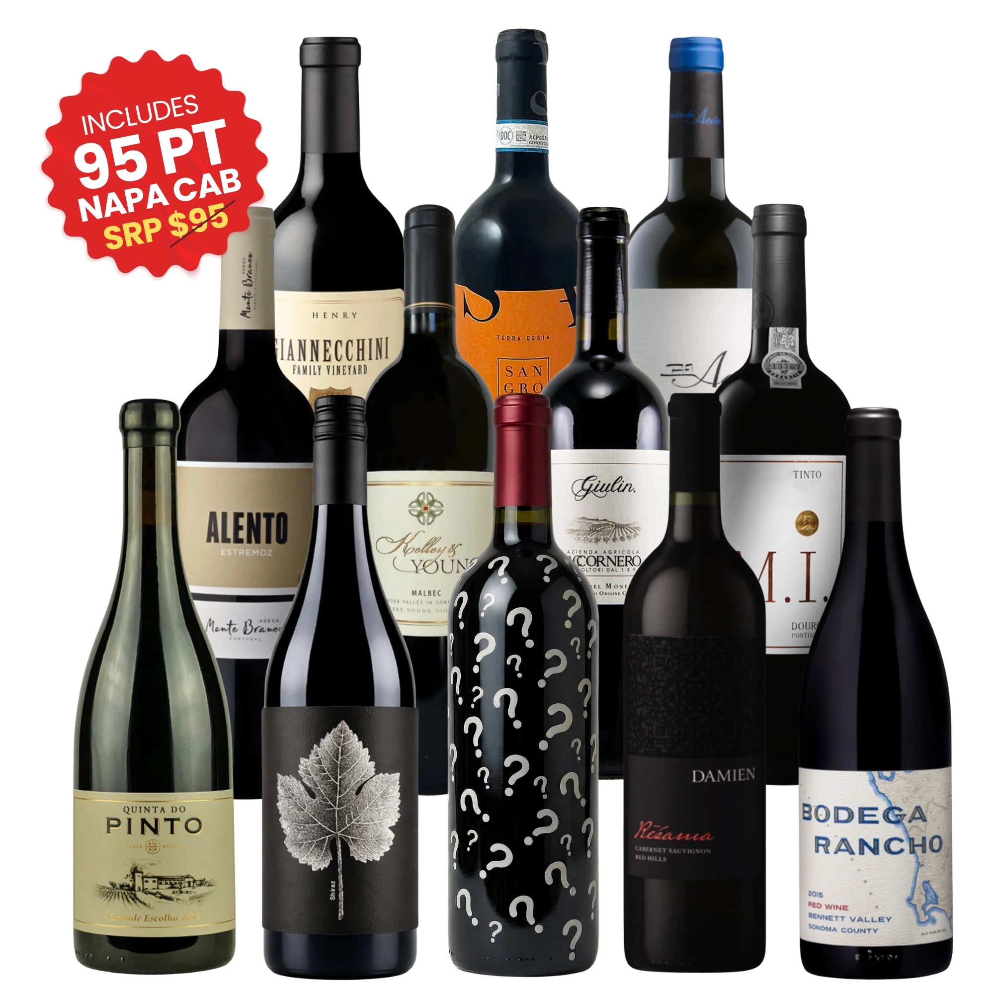 Adventures in Wine club 12-pack featuring Napa Cabernet Sauvignon, Malbec, Pinot Noir and international red wines curated by Big Hammer Wines 12x750ml