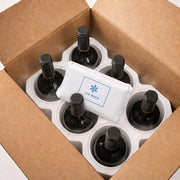 Image of Ice Pack 6pk Shipper