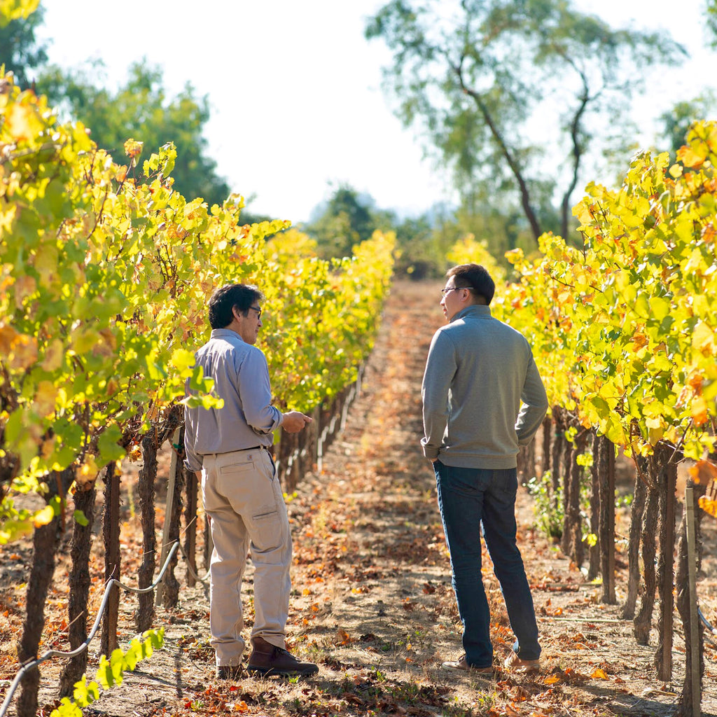 Two winemakers standing in a vineyard row at ShunYi Cellars.