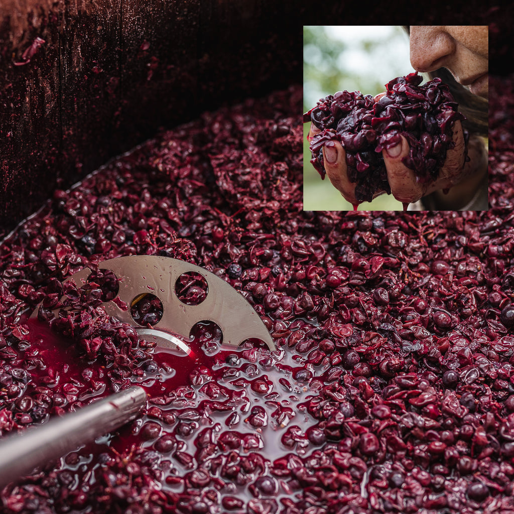 2020 Colle Nero Tra Di Noi Brunello Di Montalcino DOC
