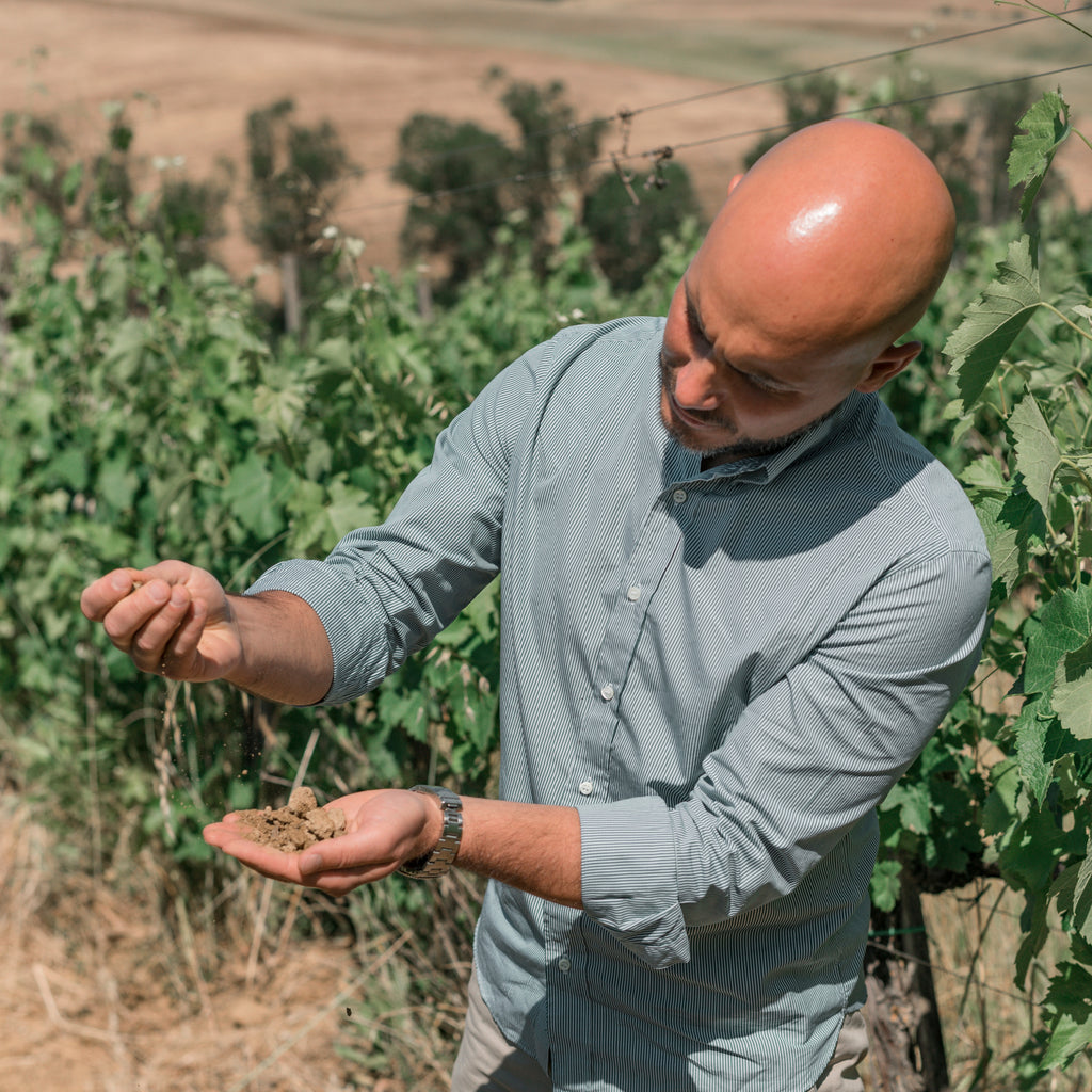 2021 Talosa Vigna Chiusino Pieve Le Grazie Vino Nobile Di Montepulciano DOCG