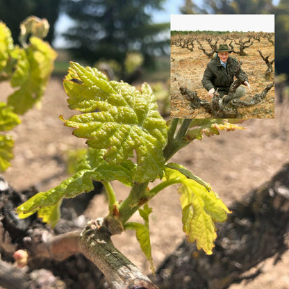 2011 Abadia de Acon Selección Ribera del Duero