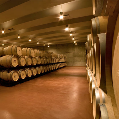 2011 Abadia de Acon Selección Ribera del Duero