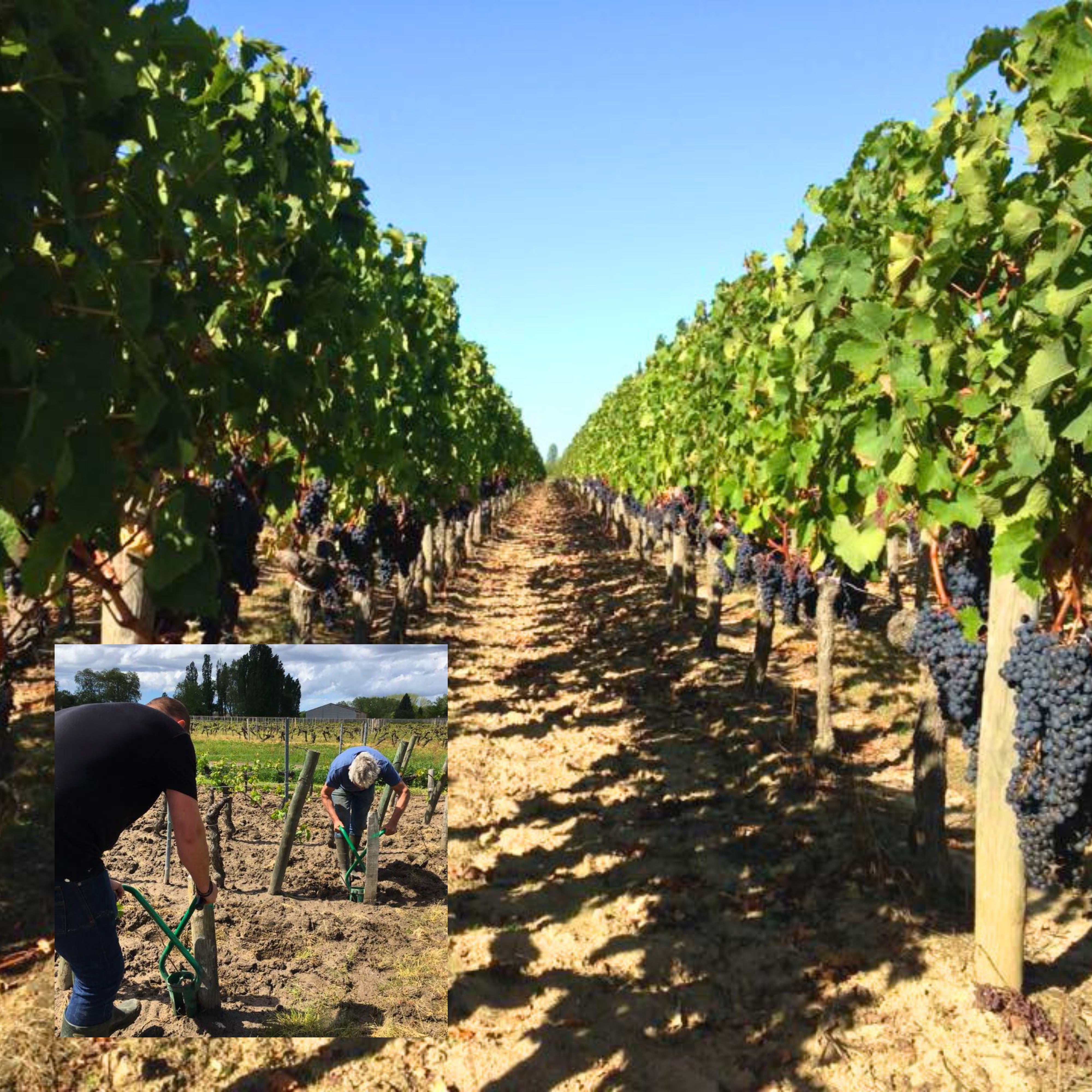 2022 Chateau Maillet Pomerol