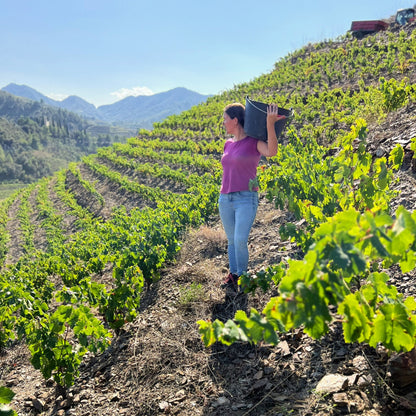 2023 Sangenis i Vaque Vall Por Priorat DOCa