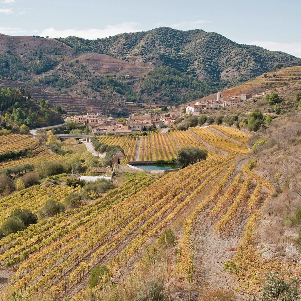 2006 Sangenis I Vaque Vall Por Priorat DOCa Spain