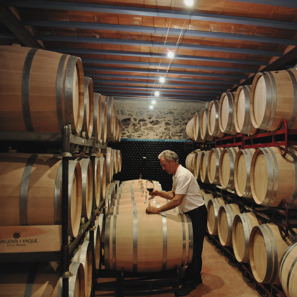 2006 Sangenis I Vaque Vall Por Priorat DOCa Spain