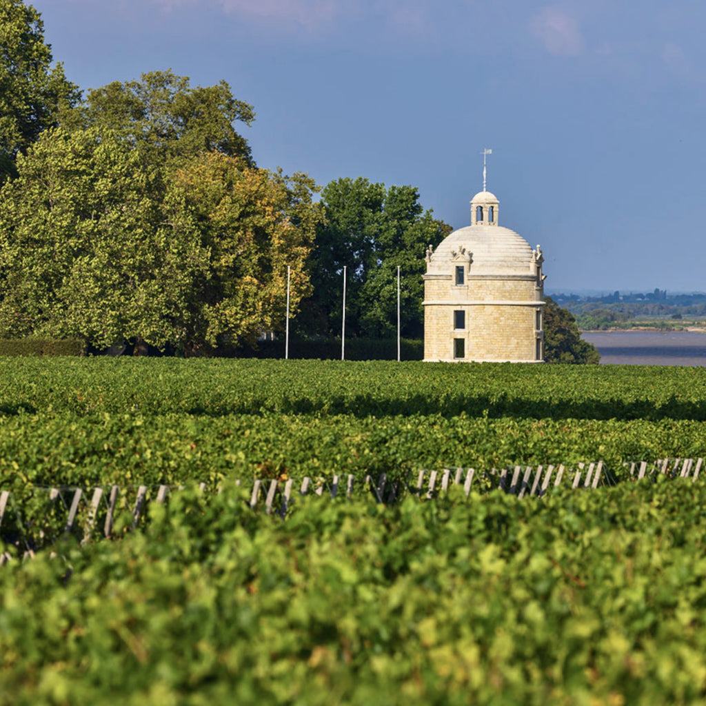 2018 Chateau Latour Les Forts de Latour Pauillac