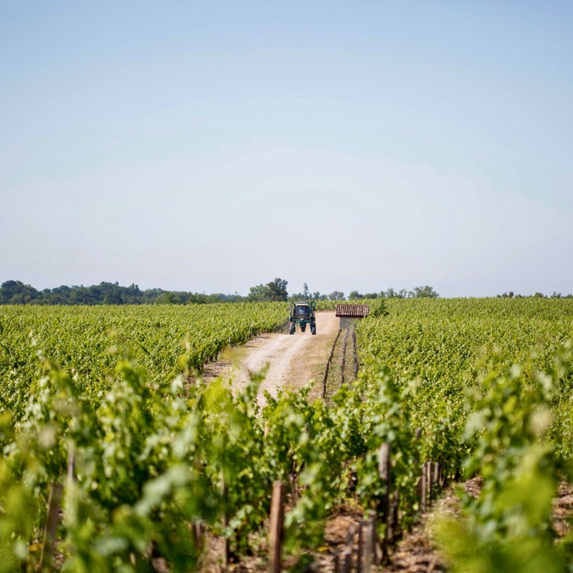 2022 Chateau Pontet-Canet Pauillac