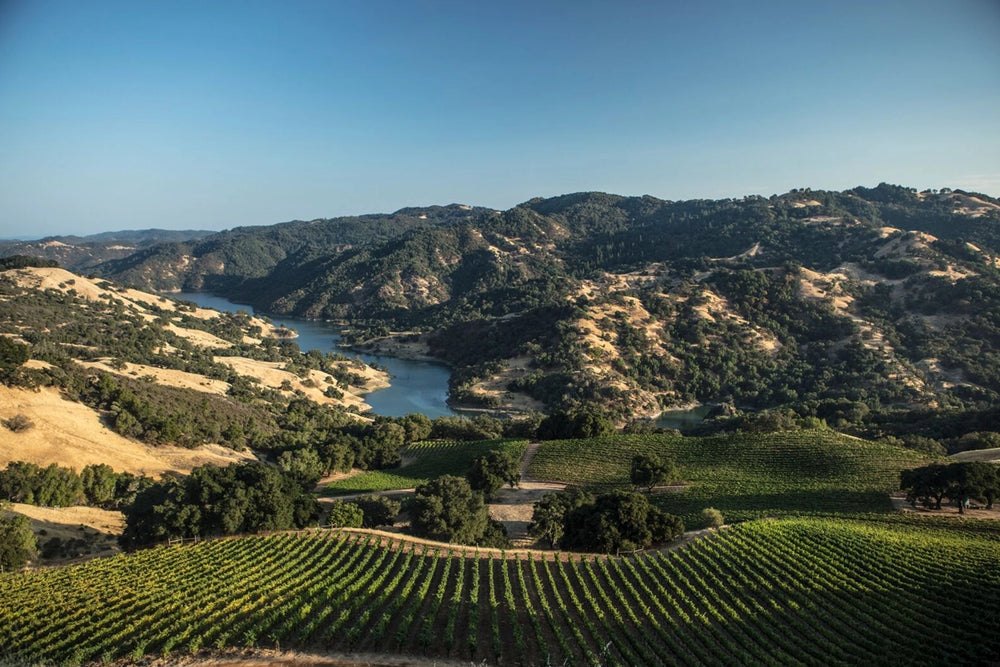 Baca Cat's Cradle Zinfandel