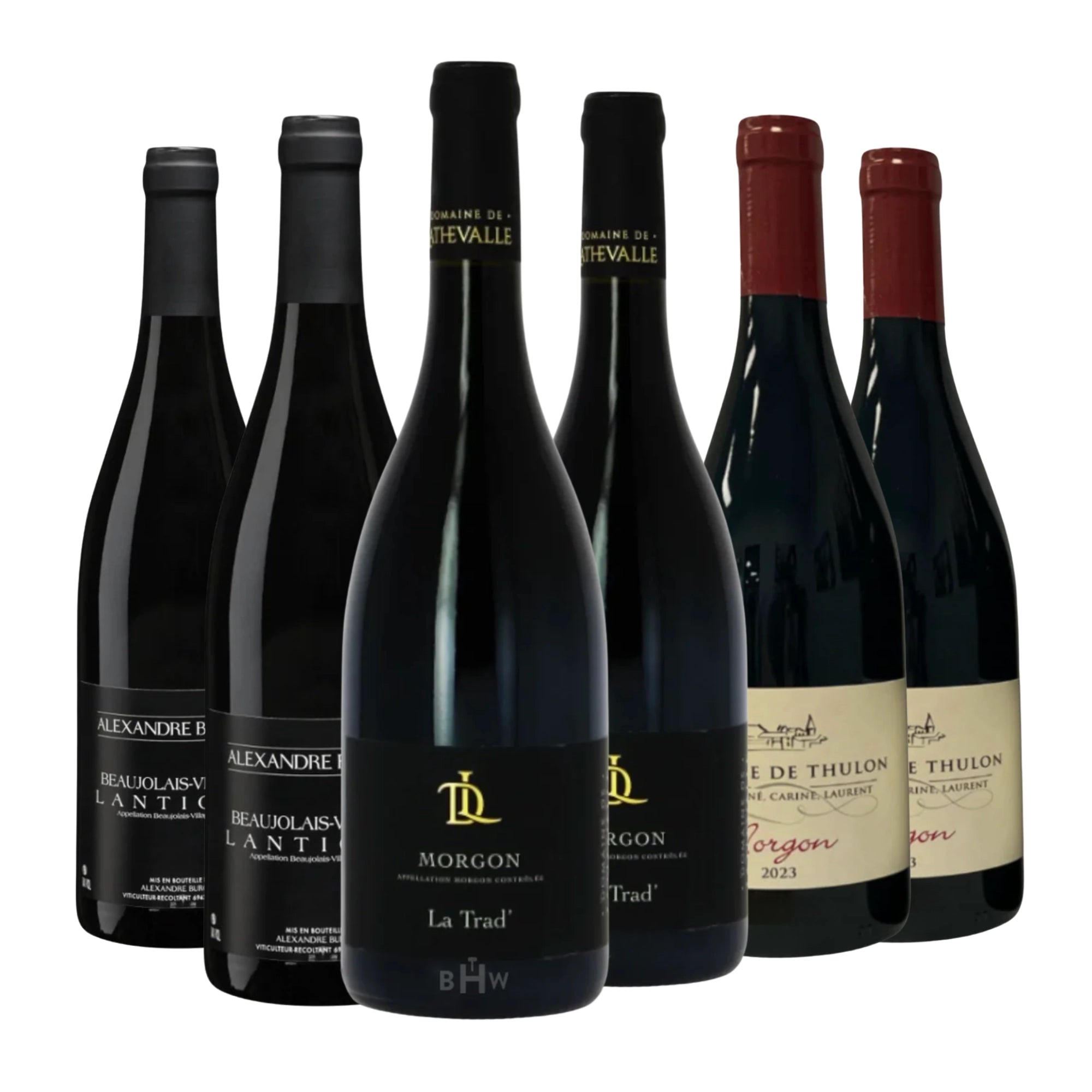 Beaujolais 6-pack sampler featuring Morgon and Beaujolais Villages Gamay wines from France