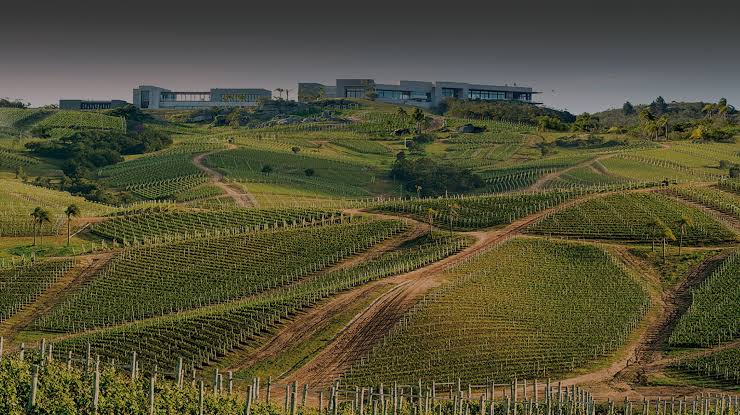Bodegas Garzon