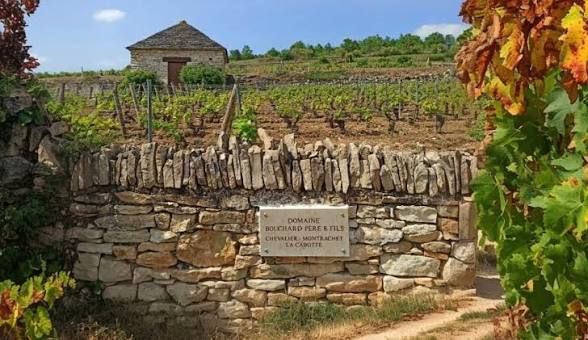 Bouchard Pere & Fils