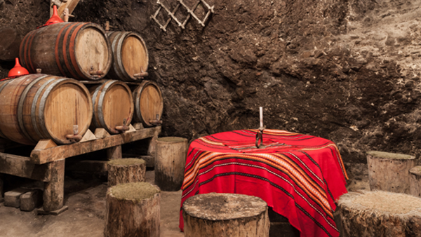 Vineyards in Bulgaria's Thracian wine country