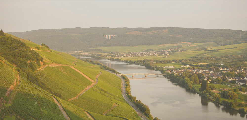 Weingut Carl Loewen