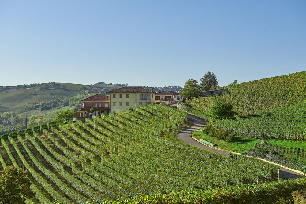 Cascina Morassino