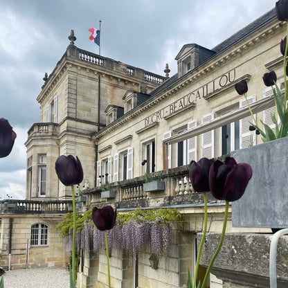 Château Ducru-Beaucaillou, a prestigious Bordeaux winery, featuring the French flag above the grand estate with purple tulips and wisteria flowers adorning the building’s facade