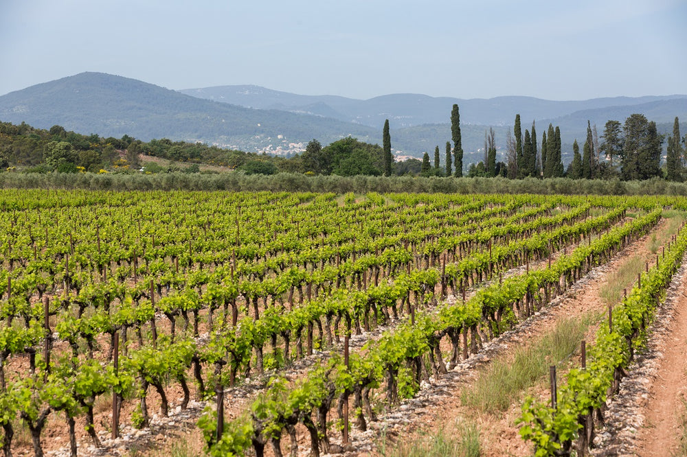 Chateau L'Aumerade
