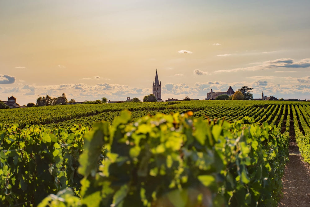 Chateau Tour Maillet
