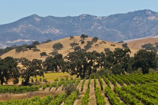 California wine