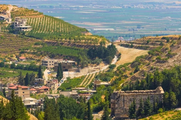 Lebanon wine