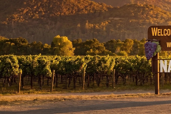 Napa Valley wine