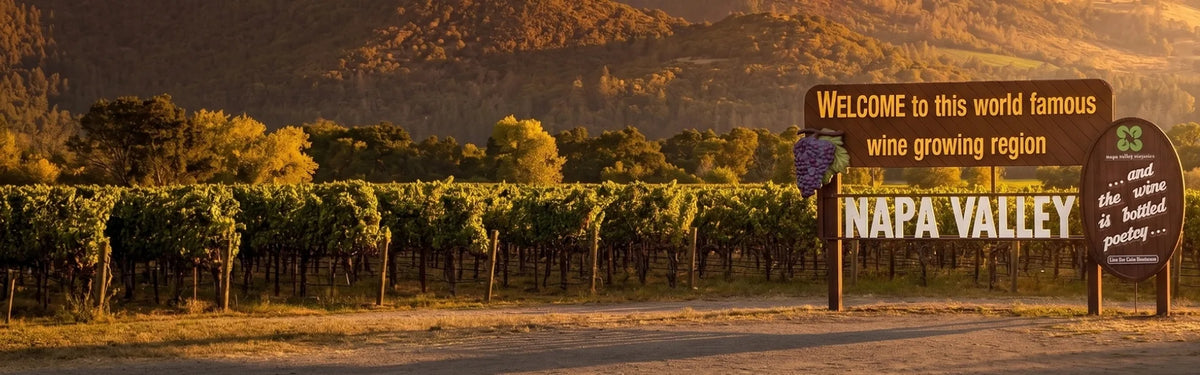 A scenic Napa Valley wine region sign at sunset, with rows of grapevines in the foreground, hills in the background, and warm golden light across the landscape.