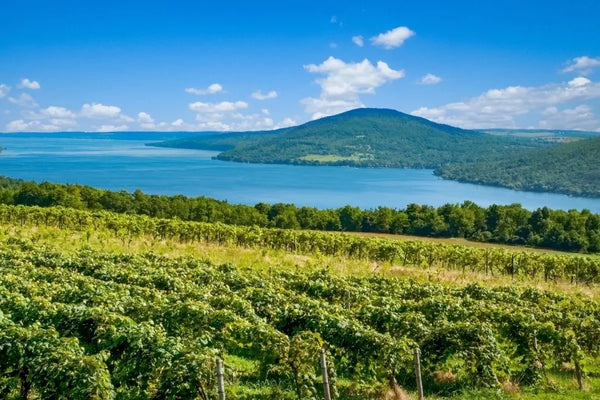 New York wine