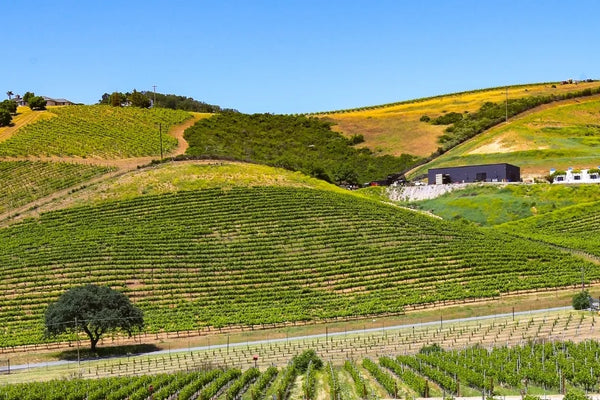 Paso Robles wine