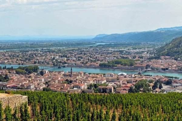 Rhone Valley wine