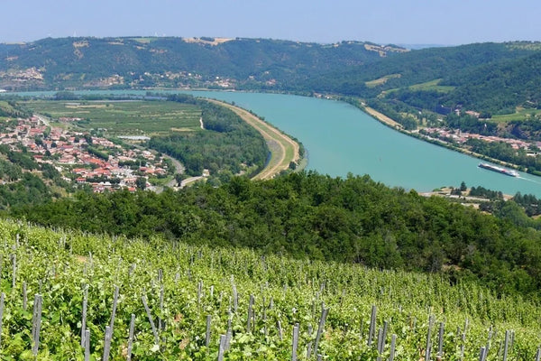 Vin de France wine
