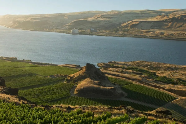 Washington wine