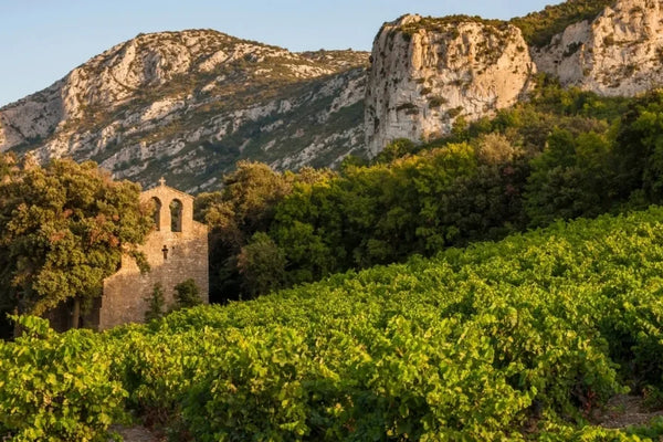 Languedoc-Roussillon wine