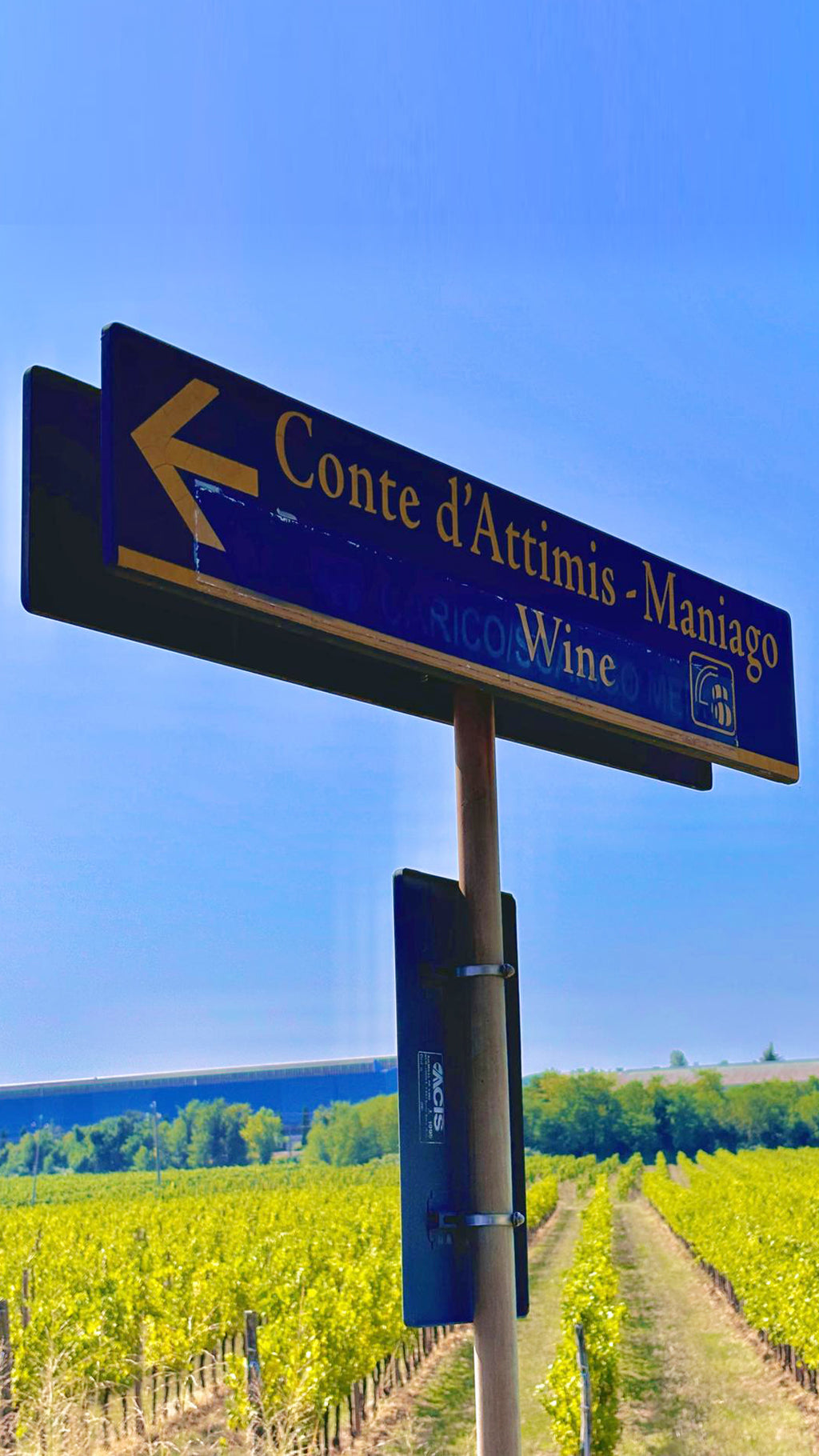 2019 Conte d'Attimis Maniago Vignaricco Colli Orientali del Friuli