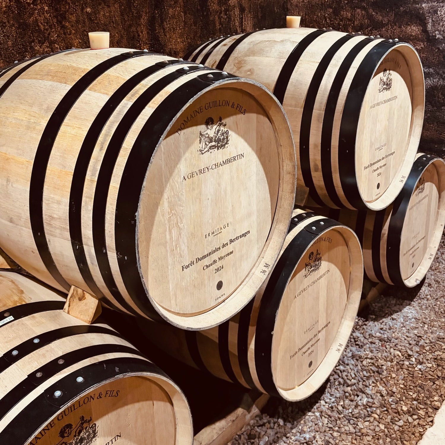 Wine barrels from Domaine Guillon & Fils, a prestigious winery in Gevrey-Chambertin, Burgundy, showcasing the oak aging process for their wines