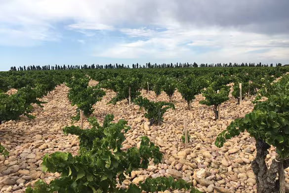 Domaine Henri Bonneau